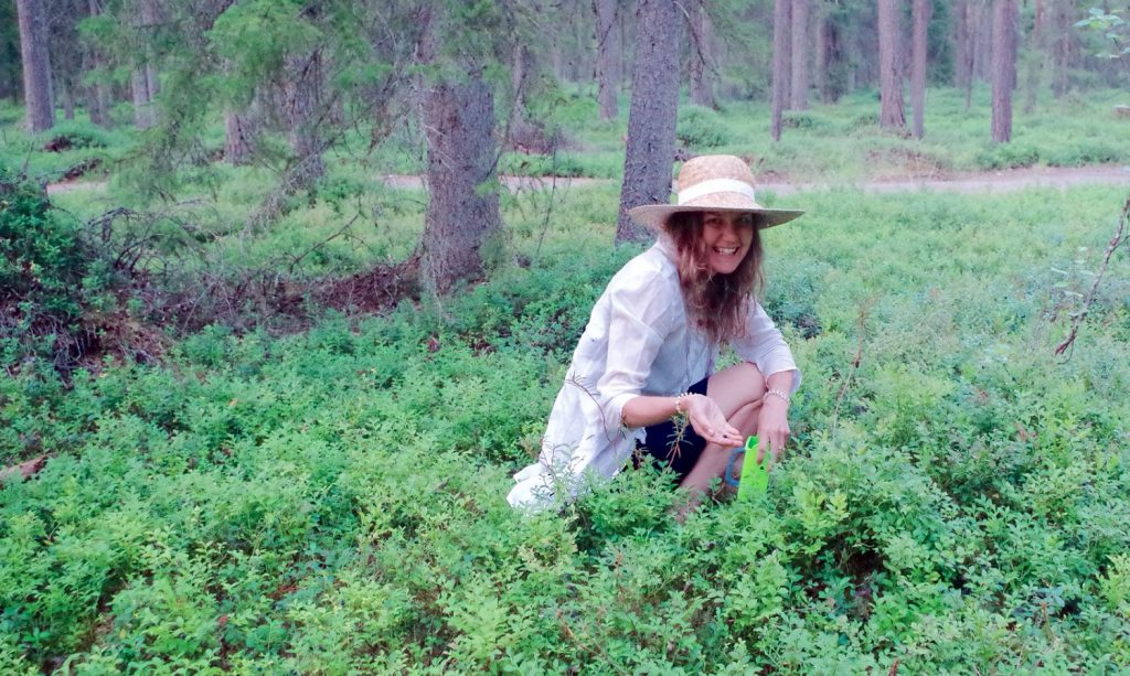 Blue berry picking