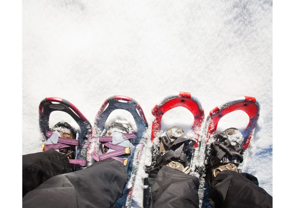 Snow shoes